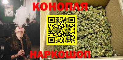 шишки Бийск