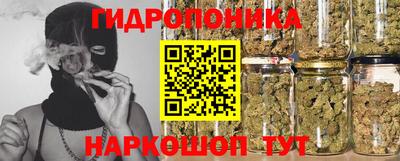 шишки Бийск