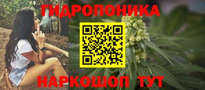 шишки Бийск