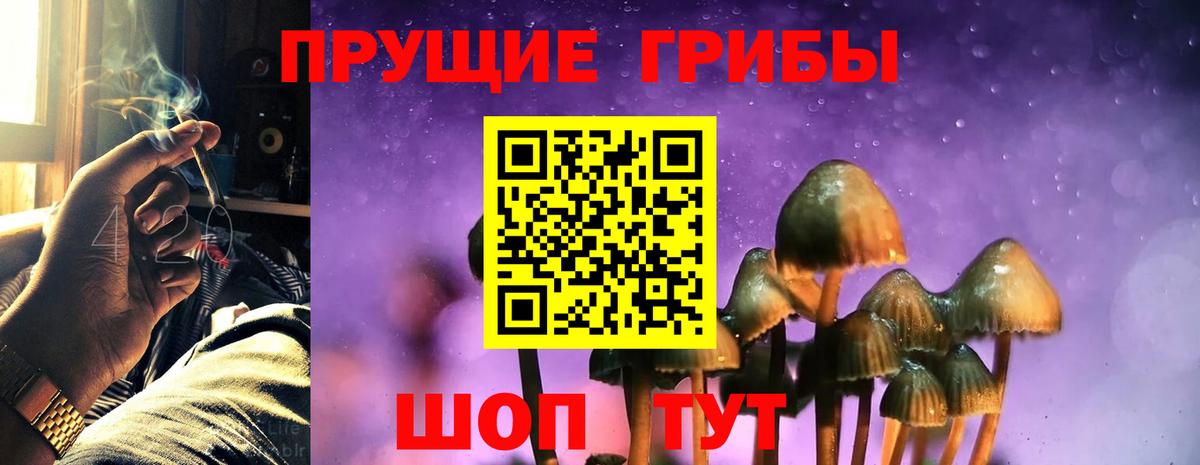 Галлюциногенные грибы GOLDEN TEACHER Ивантеевка